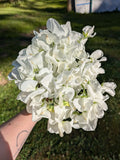 Royal White